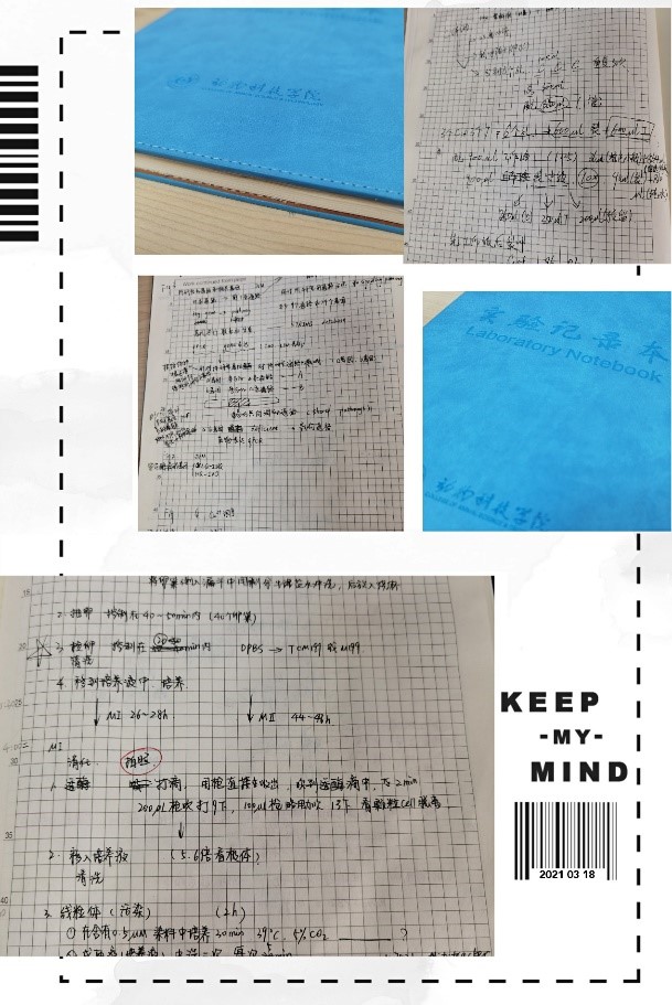 210325121422641.jpg 210325121422641.jpg